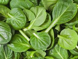 Spinach