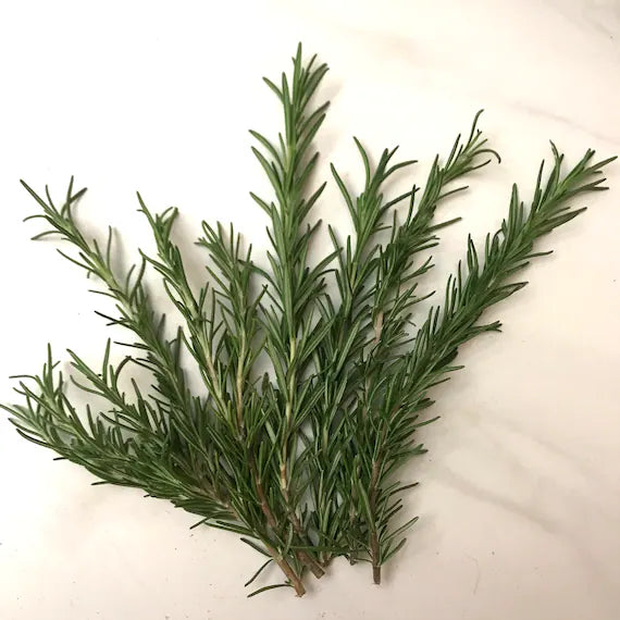 Rosemary
